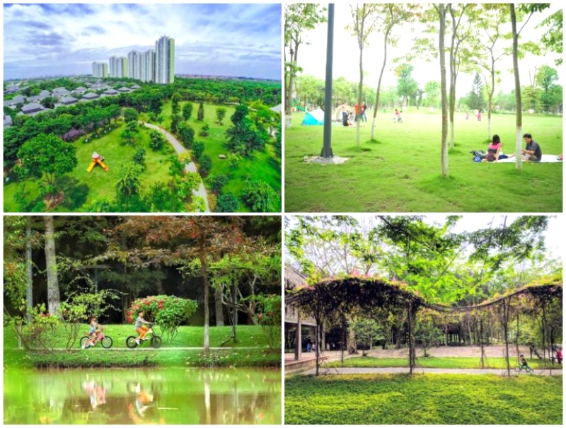 Trải nghiệm cắm trại Ecopark mùa Hạ.