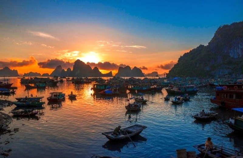 Thoát khỏi guồng quay cuộc sống với tour Cô Tô 2 ngày 1 đêm, tận hưởng kỳ nghỉ tuyệt vời.