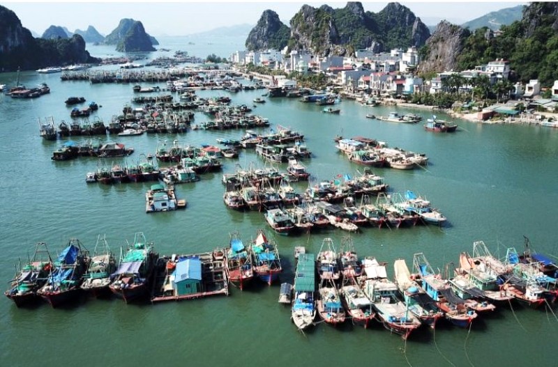 Cảng Cái Rồng nhộn nhịp, điểm khởi hành cho tour Cô Tô 2 ngày 1 đêm.